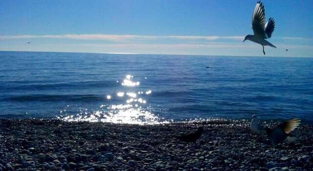 Гостиница Mini Hotel na Pikhtovom Адлер-14