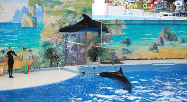 Гостиница Mini Hotel na Pikhtovom Адлер-17